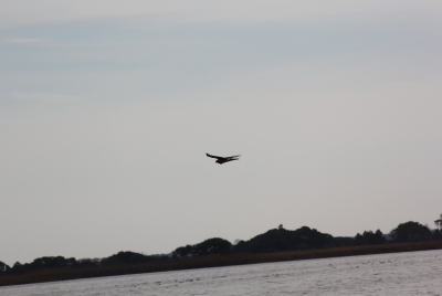 First Landing, Virginia Dec 2012